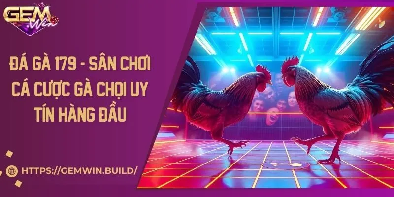 Đá gà 179 - Sân chơi cá cược gà chọi uy tín hàng đầu