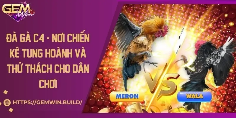 Đà gà C4 - Nơi chiến kê tung hoành và thử thách cho dân chơi