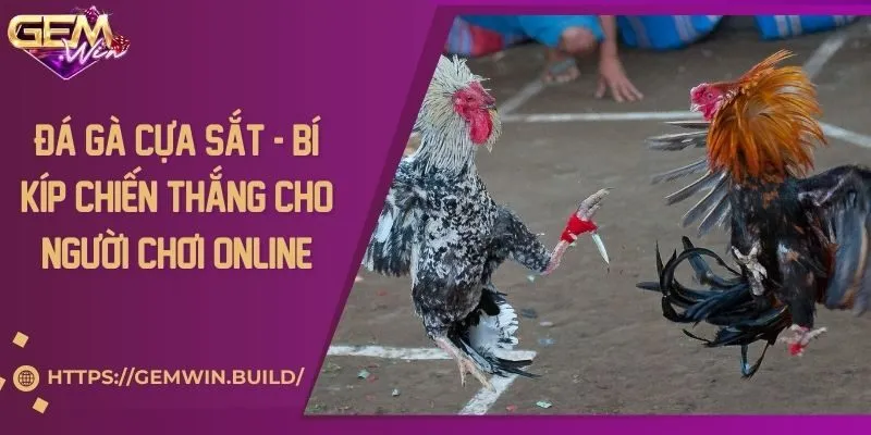 Đá gà cựa sắt - Bí kíp chiến thắng cho người chơi online