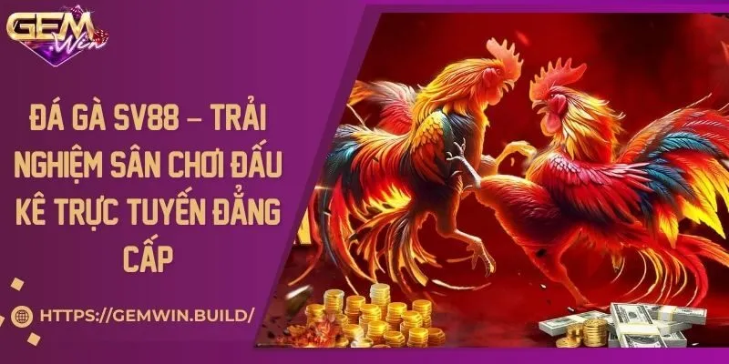 Đá gà SV88 – Trải nghiệm sân chơi đấu kê trực tuyến đẳng cấp